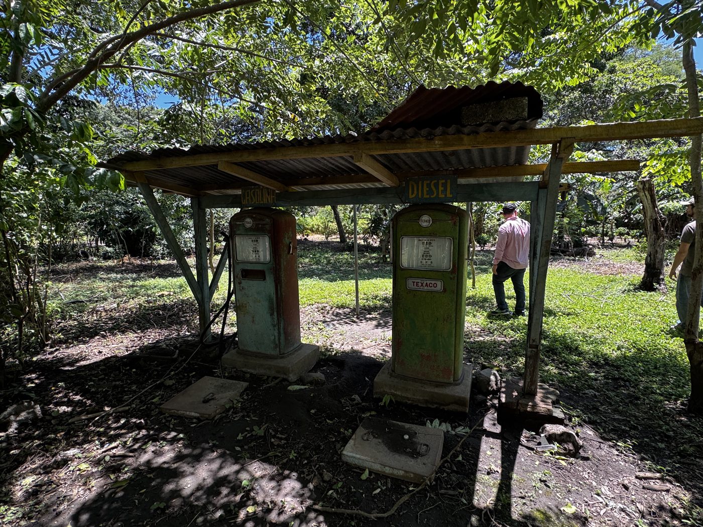 The farm's old Texaco fuel pumps, gasolina and diesel, under a tin roof among the trees
