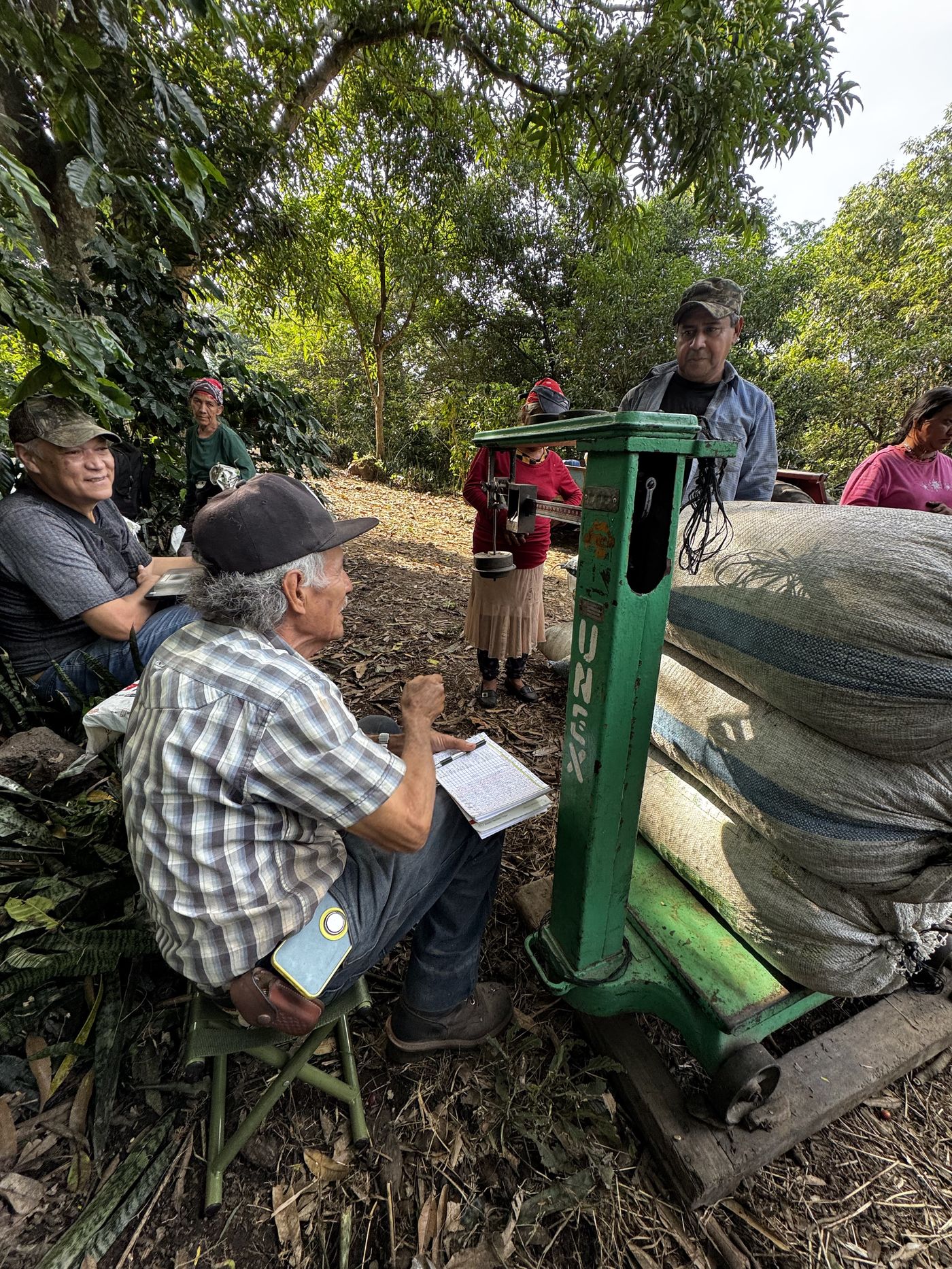 Weighing sacks of coffee and recording the harvest by hand